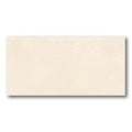 12x24 Light Matte 