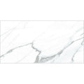 12x24 Polished 