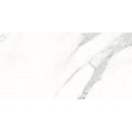 12x24 Polished 