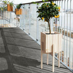 12x24 Leccese Cesellata Fossile Matte Limestone Look Porcelain Tile-American Tile Depot