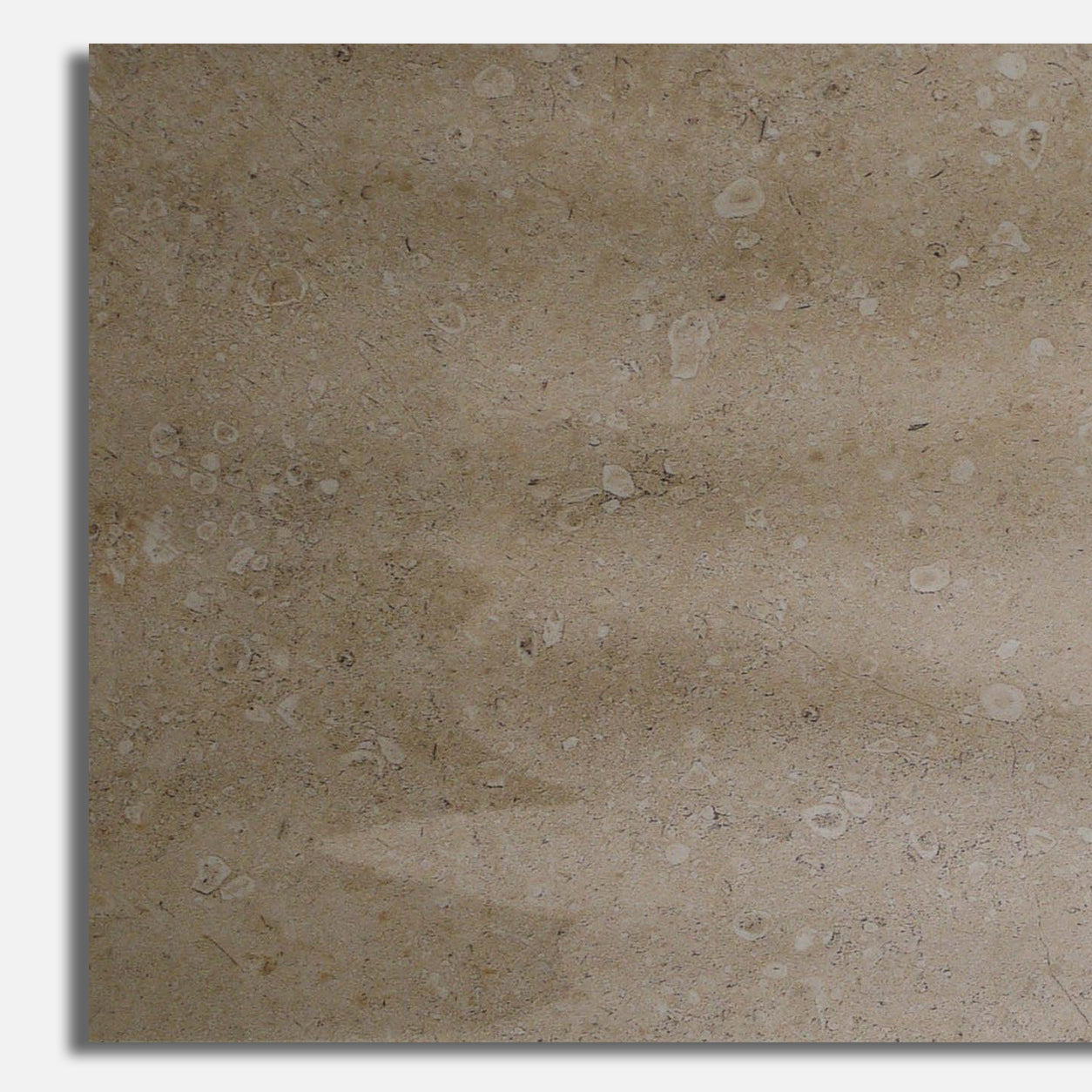 13x24 Royale Crema Relieve Wave Polished Stone Look Ceramic Tile - American Tile Depot