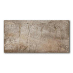 16x32 Ascendra Noce Matte Travertine Look Porcelain Tile 16x32 Ascendra Noce Matte Travertine Look Porcelain Tile - American Tile Depot