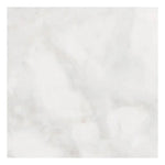 18 X 18 Bianco Congelato Dolomite Leathered Tile-American Tile Depot