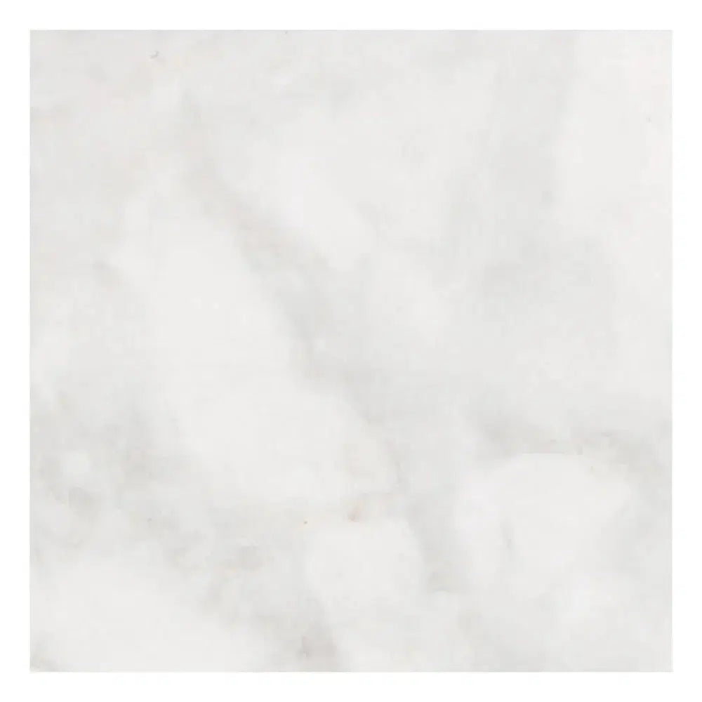 18 X 18 Bianco Congelato Dolomite Leathered Tile-American Tile Depot