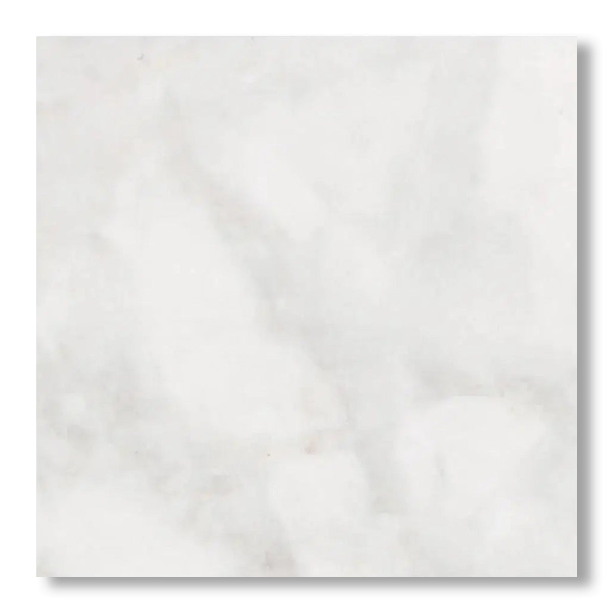 18x18 Bianco Congelato Dolomite Leathered Tile