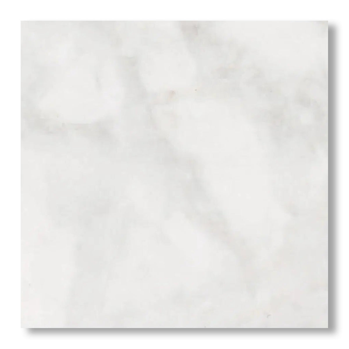 18x18 Bianco Congelato Dolomite Leathered Tile - American Tile Depot