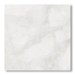 18x18 Bianco Congelato Dolomite Leathered Tile - American Tile Depot