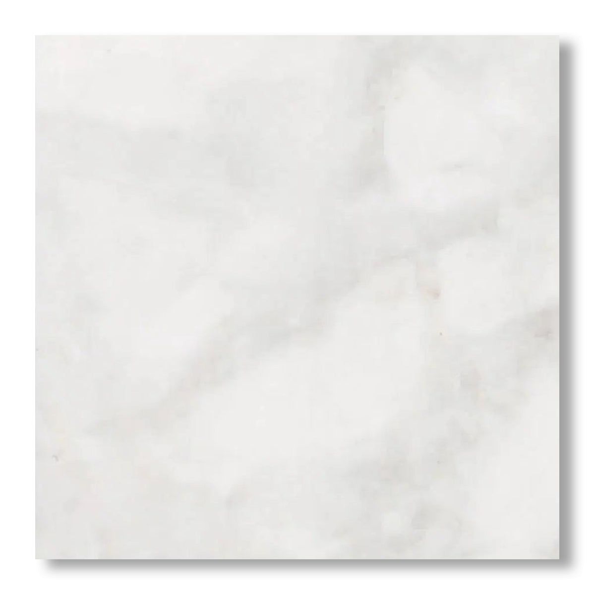 18x18 Bianco Congelato Dolomite Leathered Tile - American Tile Depot