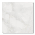 18x18 Bianco Congelato Dolomite Leathered Tile - American Tile Depot