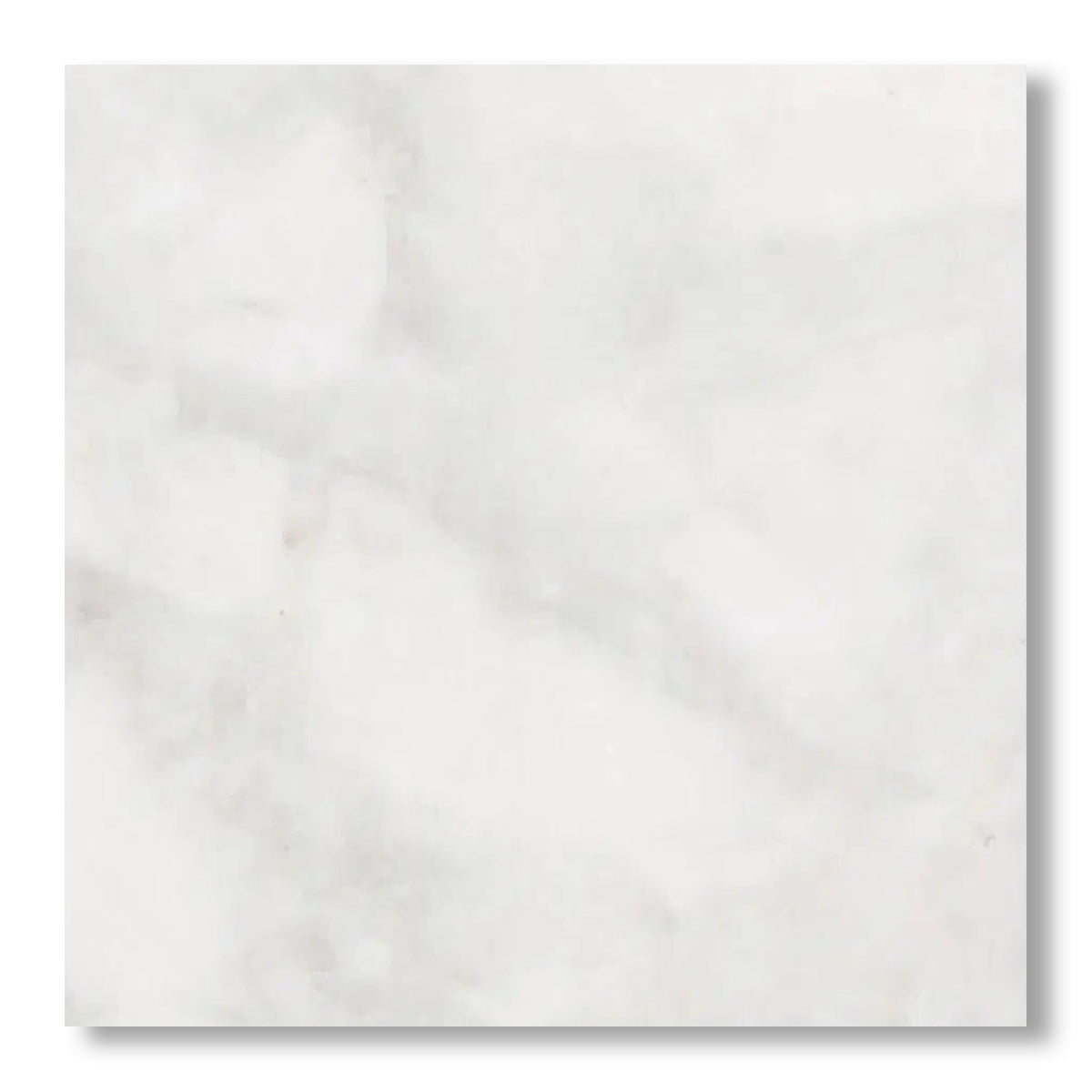 18x18 Bianco Congelato Dolomite Leathered Tile - American Tile Depot