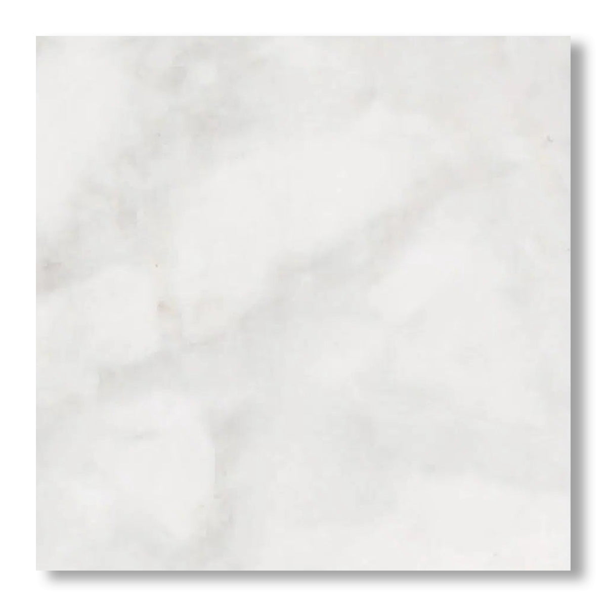 18x18 Bianco Congelato Dolomite Leathered Tile