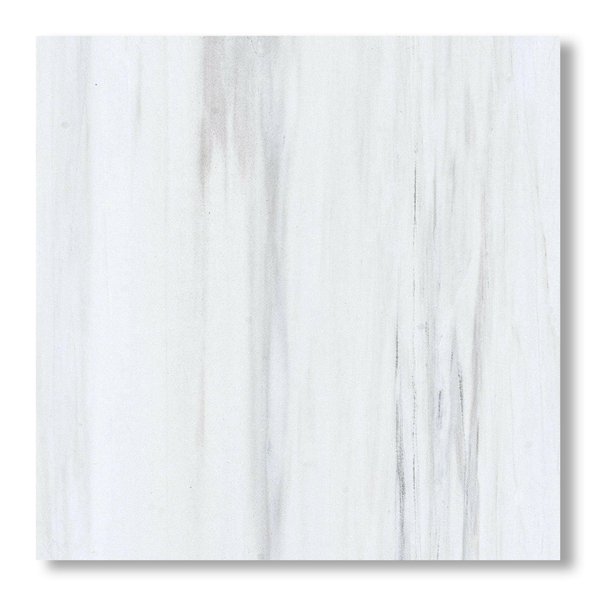 18x18 Bianco Dolomite Honed Tile - American Tile Depot