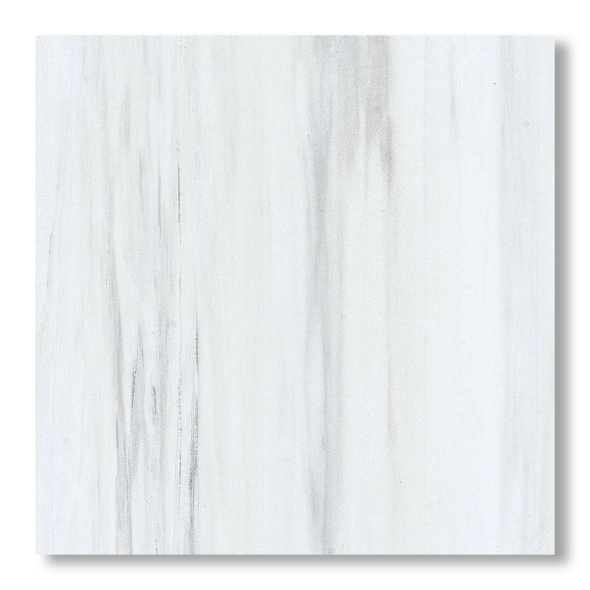 18x18 Bianco Dolomite Honed Tile - American Tile Depot