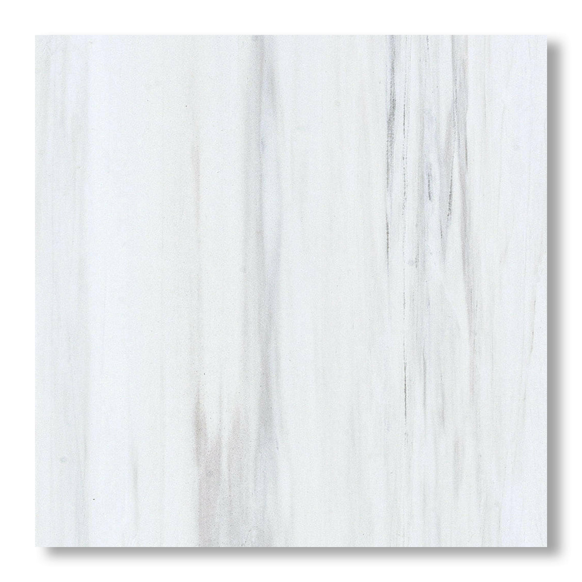 18x18 Bianco Dolomite Honed Tile - American Tile Depot