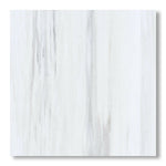 18x18 Bianco Dolomite Honed Tile - American Tile Depot