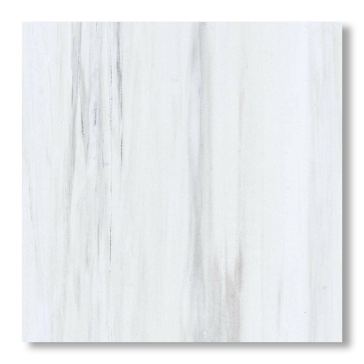 18x18 Bianco Dolomite Honed Tile - American Tile Depot
