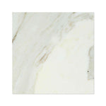 18x18 Calacatta Gold Marble Honed Tile 18x18 Calacatta Gold Marble Honed Tile - American Tile Depot