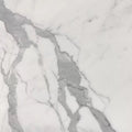 18x18 Polished