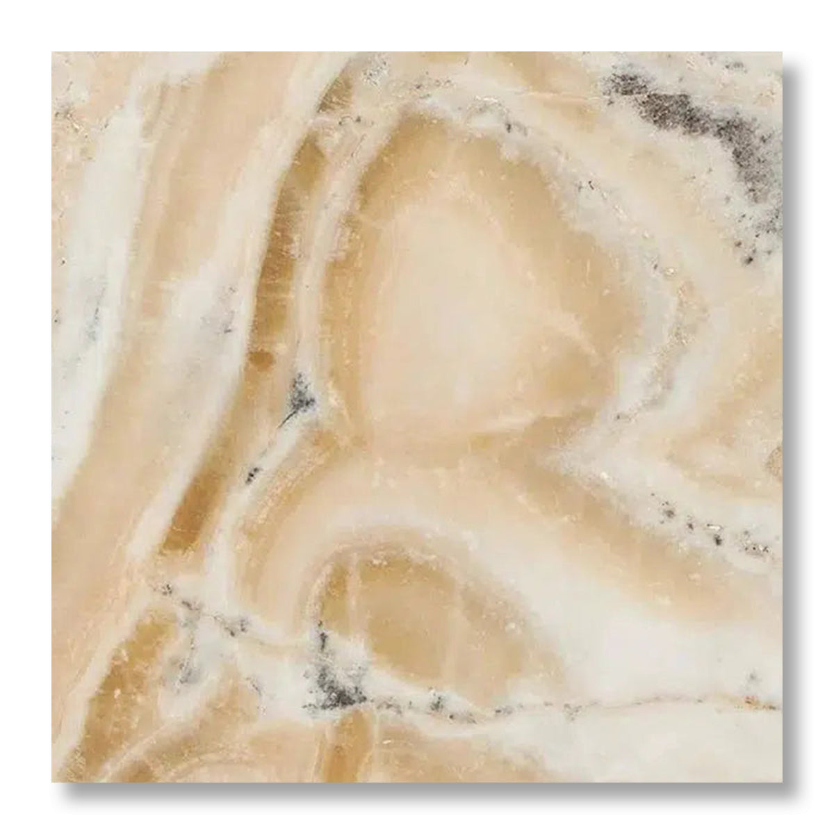 18x18 Latravonya Travertine Filled & Honed Tile - American Tile Depot