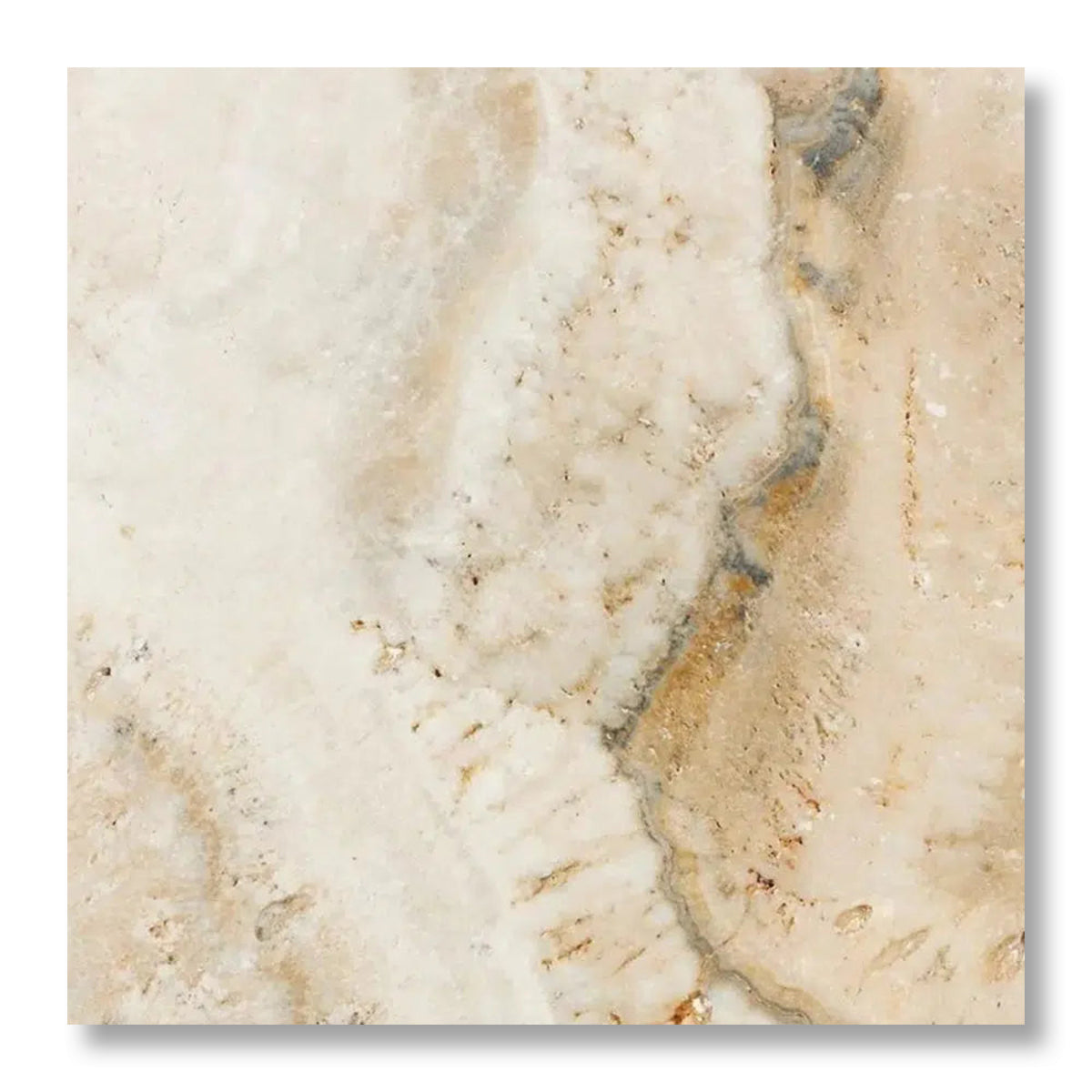 18x18 Latravonya Travertine Filled & Honed Tile - American Tile Depot