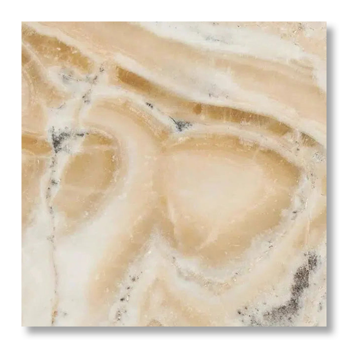 18x18 Latravonya Travertine Filled & Honed Tile - American Tile Depot