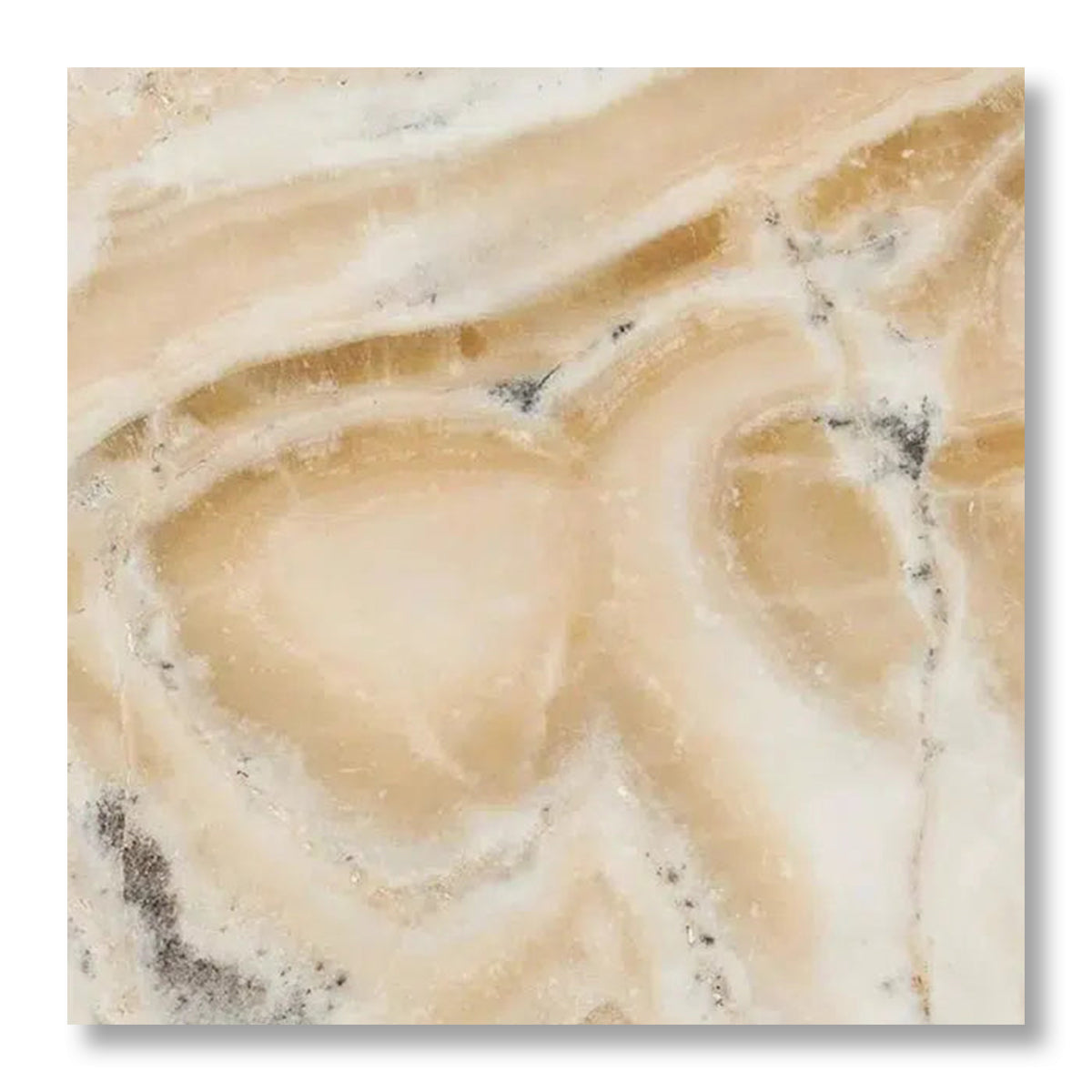 18x18 Latravonya Travertine Filled & Honed Tile - American Tile Depot