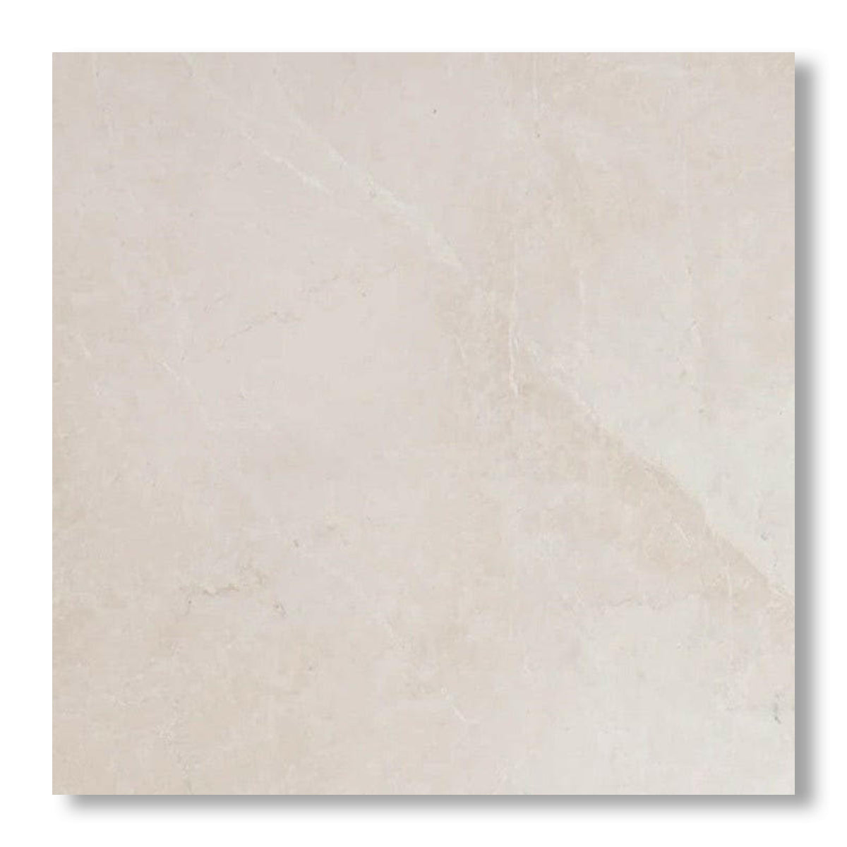 24x24 White Pearl / Botticino Marble Honed Tile