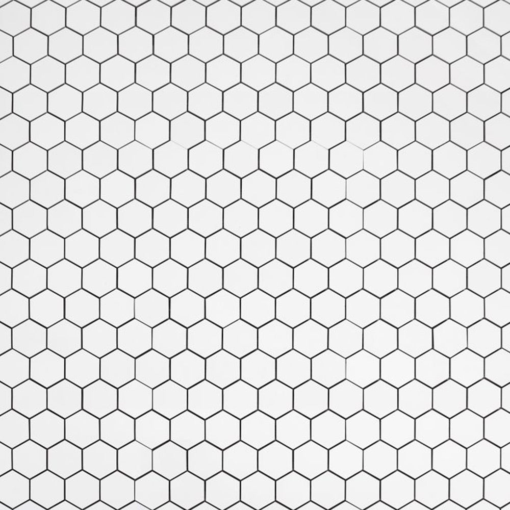 2" Borneo Roy White Matte Hexagon Marble Laminated Porcelain Mosaic Tile