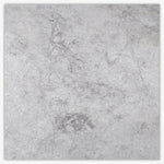 24 X 24 Tundra Gray (Atlantic Gray) Marble Honed Tile-American Tile Depot