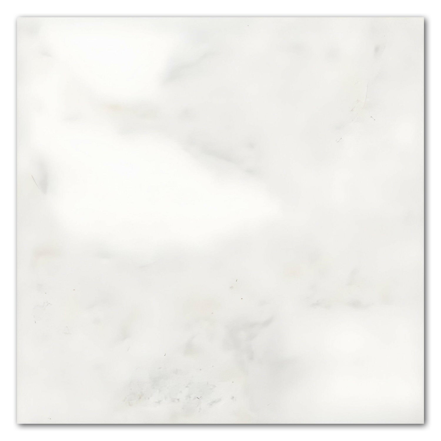 24x24 Bianco Congelato Dolomite Leathered Tile 24x24 Bianco Congelato Dolomite Leathered Tile - American Tile Depot