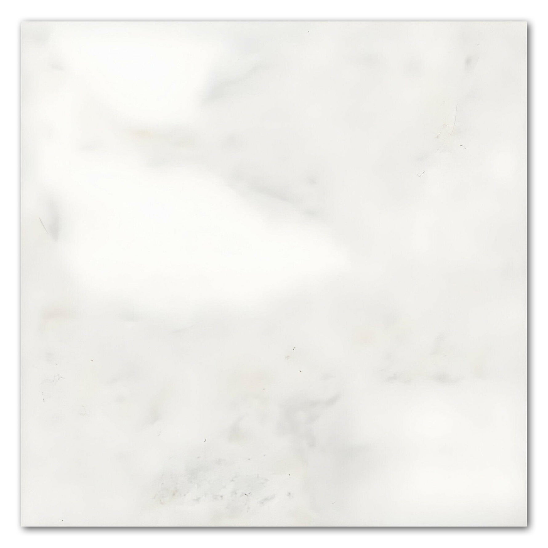 24x24 Bianco Congelato Dolomite Leathered Tile 24x24 Bianco Congelato Dolomite Leathered Tile - American Tile Depot