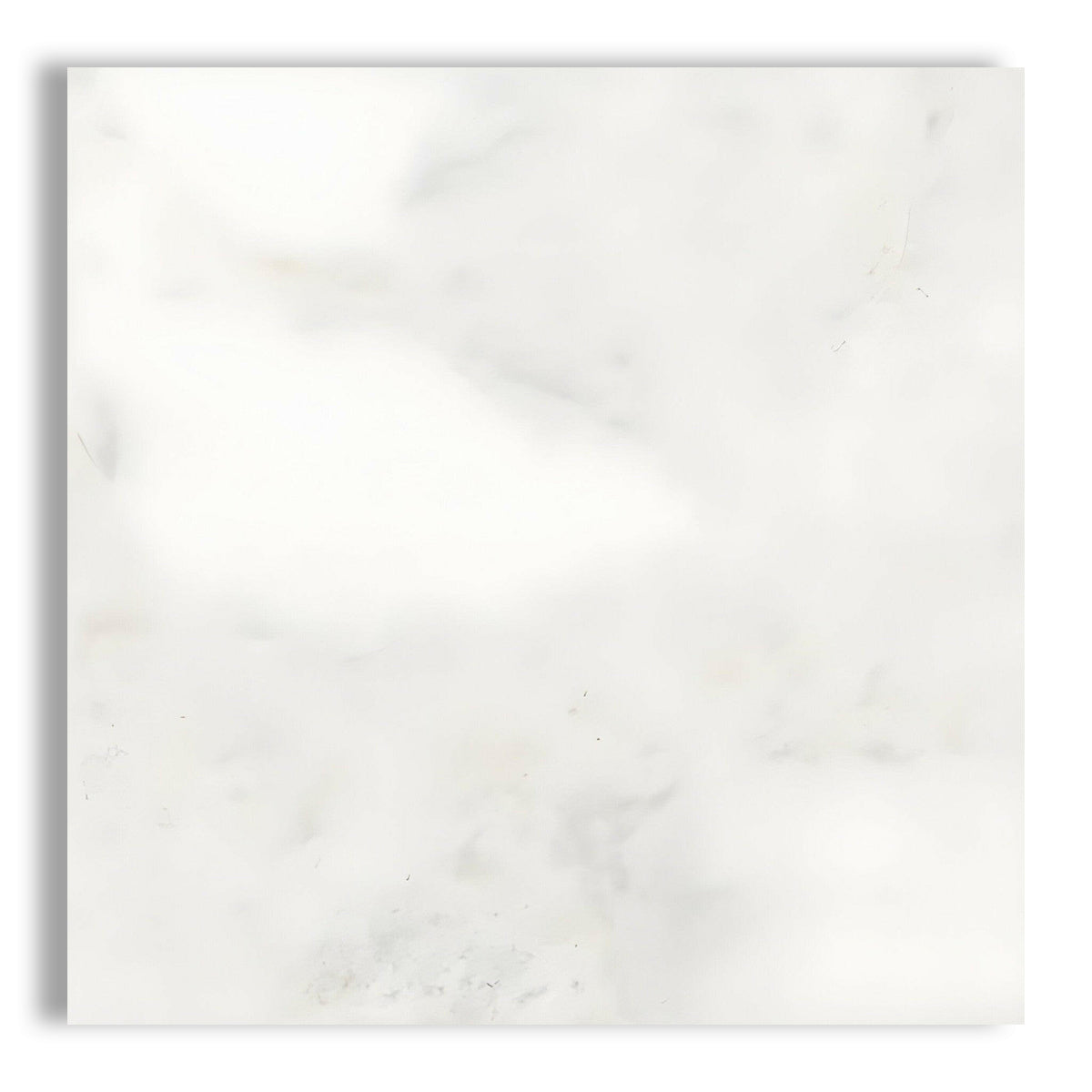 24x24 Bianco Congelato Dolomite Leathered Tile - American Tile Depot