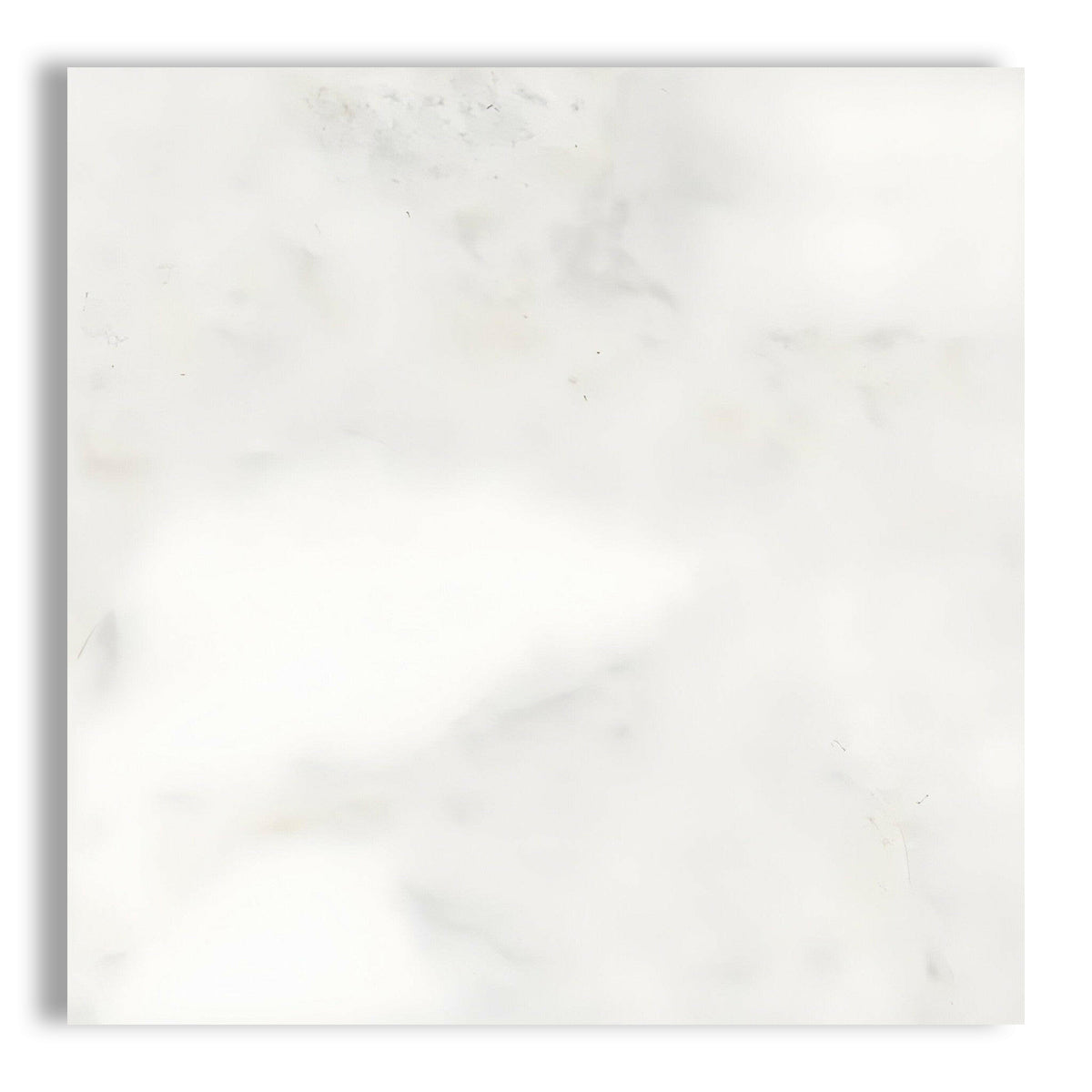 24x24 Bianco Congelato Dolomite Leathered Tile - American Tile Depot