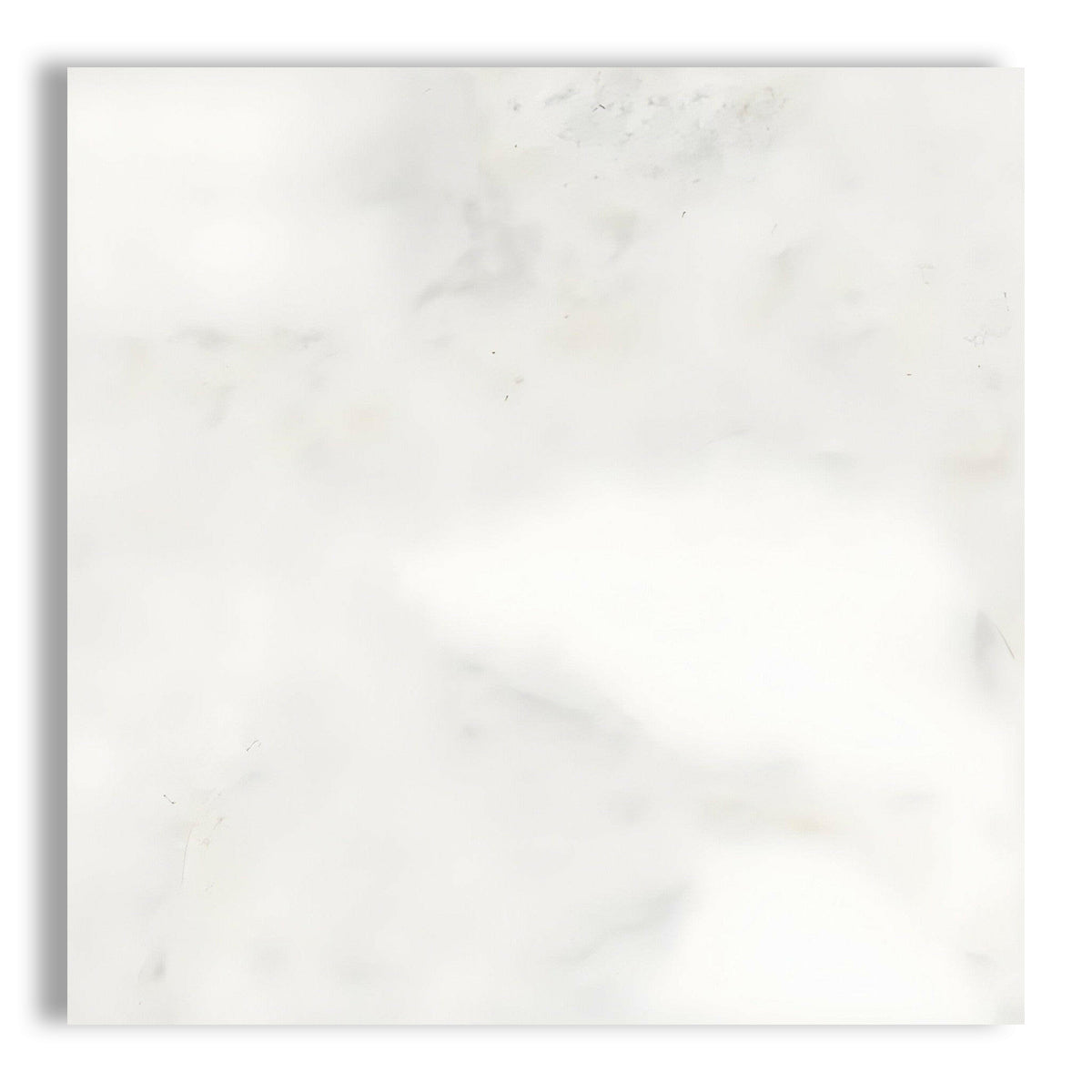 24x24 Bianco Congelato Dolomite Leathered Tile - American Tile Depot