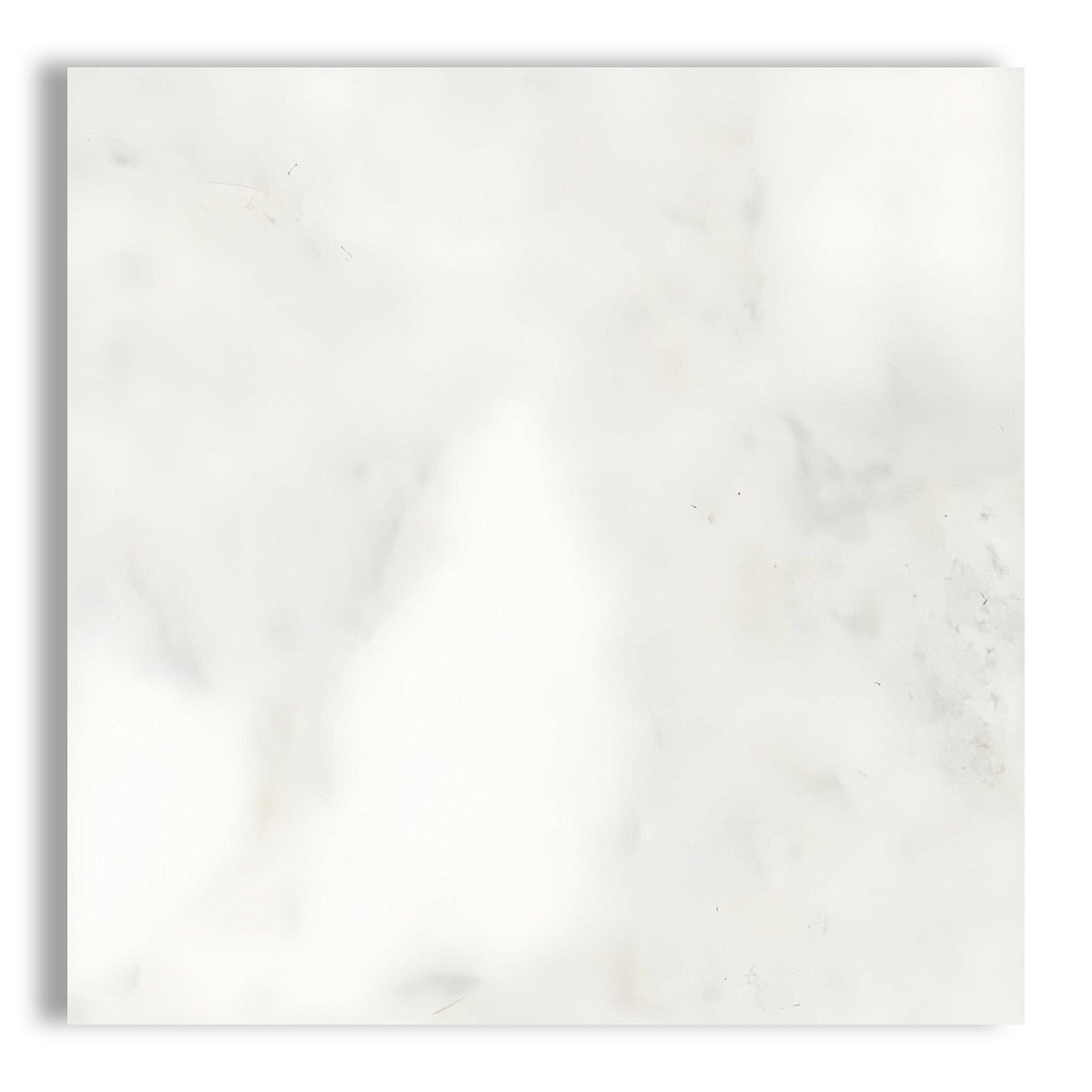 24x24 Bianco Congelato Dolomite Leathered Tile - American Tile Depot
