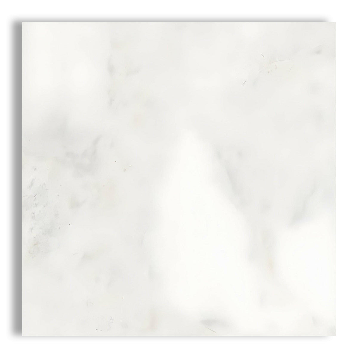 24x24 Bianco Congelato Dolomite Leathered Tile - American Tile Depot