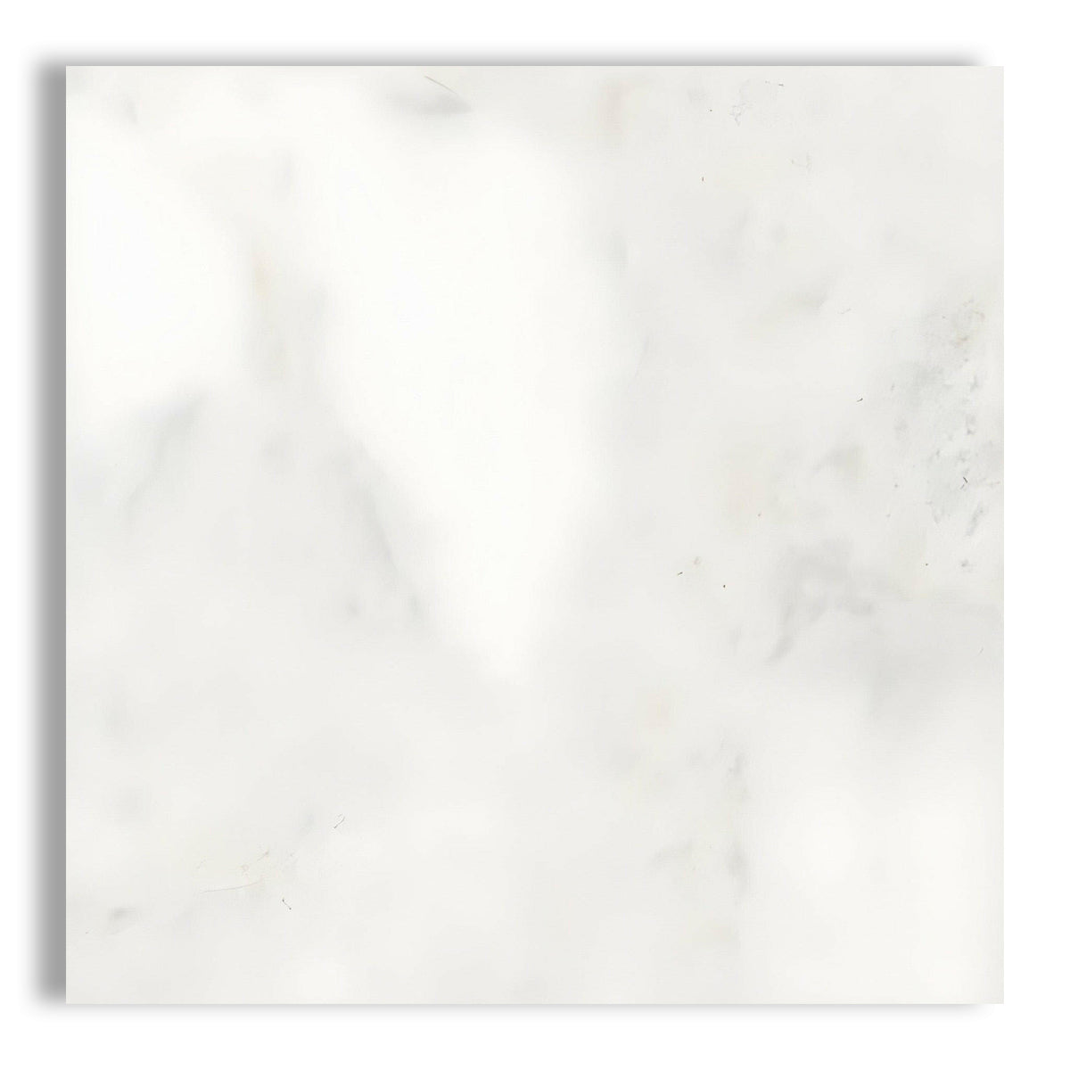 24x24 Bianco Congelato Dolomite Leathered Tile - American Tile Depot