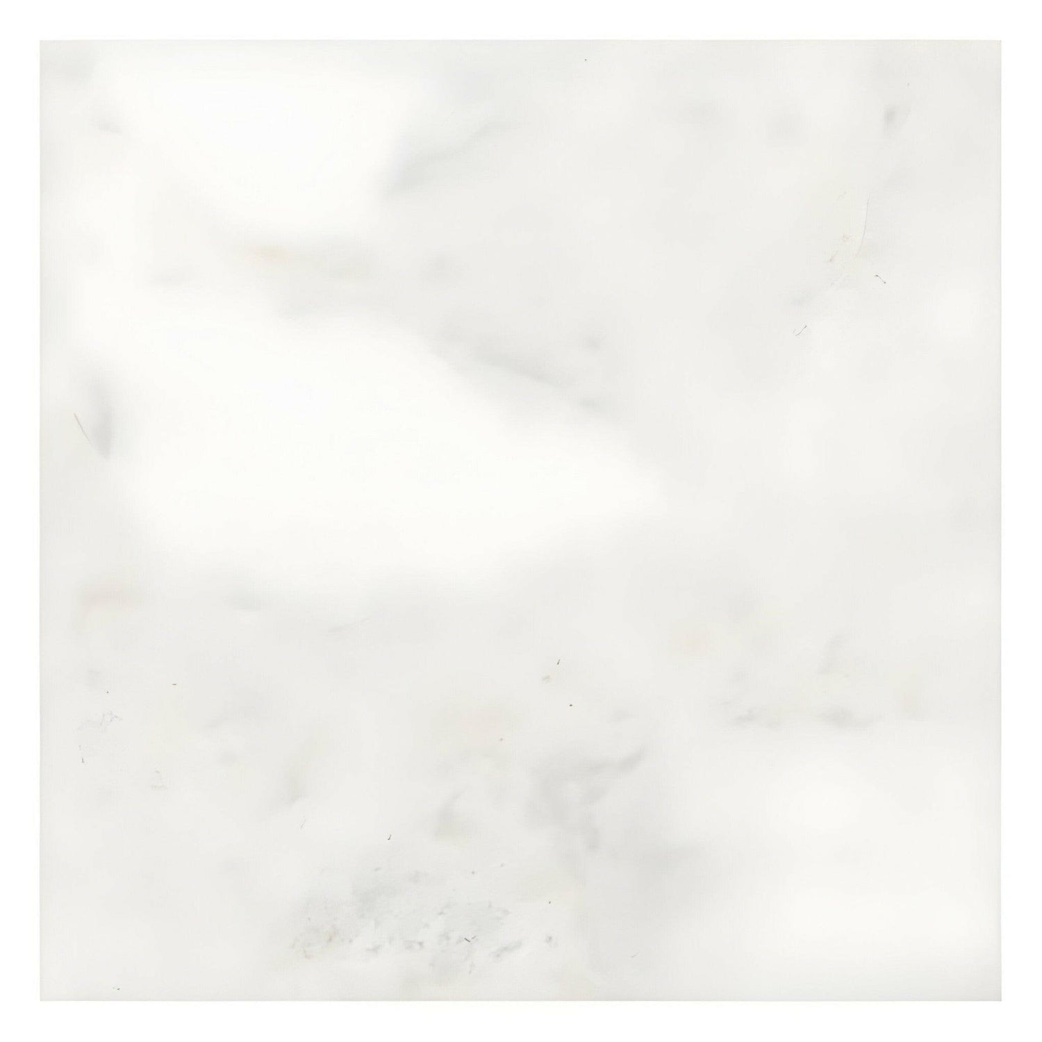 24x24 Bianco Congelato Dolomite Leathered Tile 24x24 Bianco Congelato Dolomite Leathered Tile - American Tile Depot