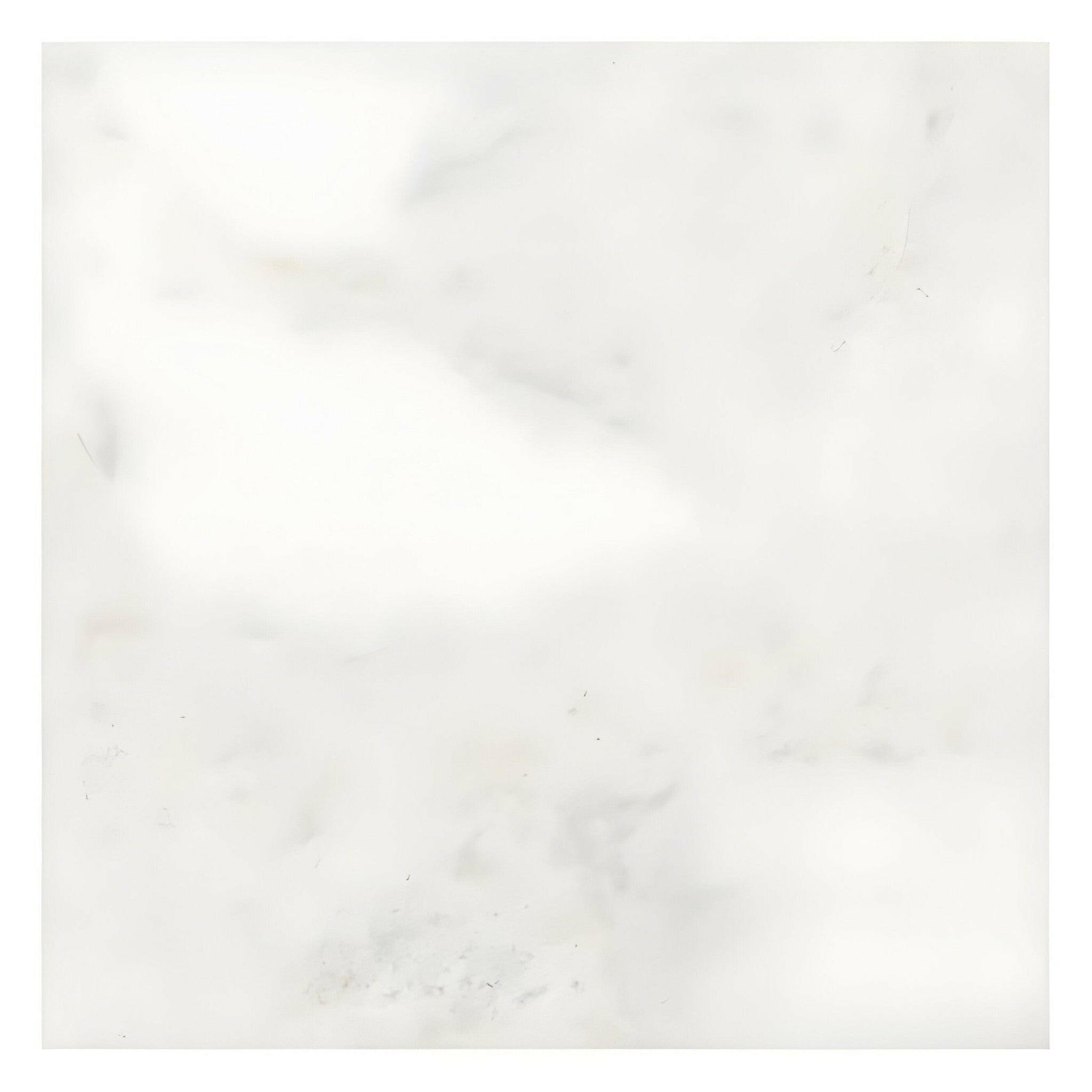24x24 Bianco Congelato Dolomite Leathered Tile 24x24 Bianco Congelato Dolomite Leathered Tile - American Tile Depot