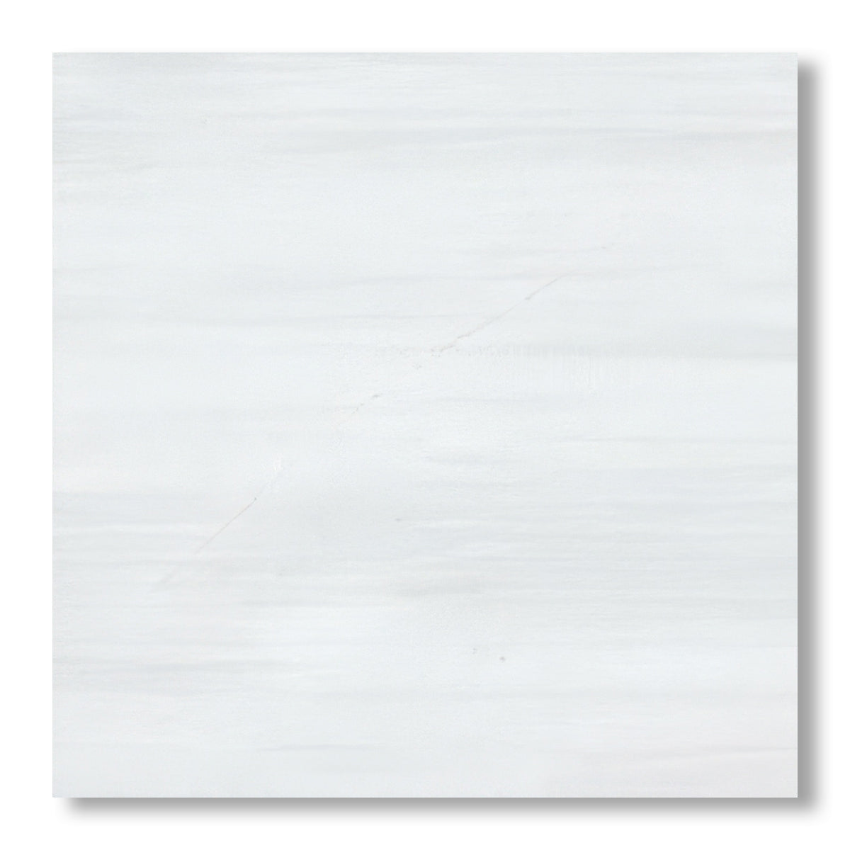 24x24 Bianco Dolomite Polished Tile - American Tile Depot