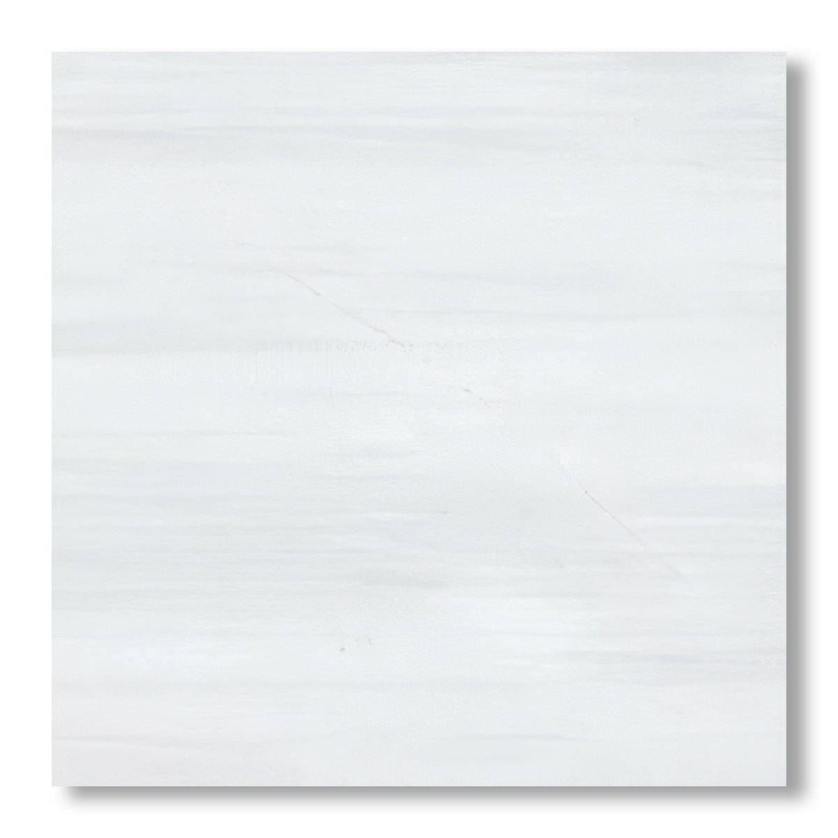 24x24 Bianco Dolomite Polished Tile