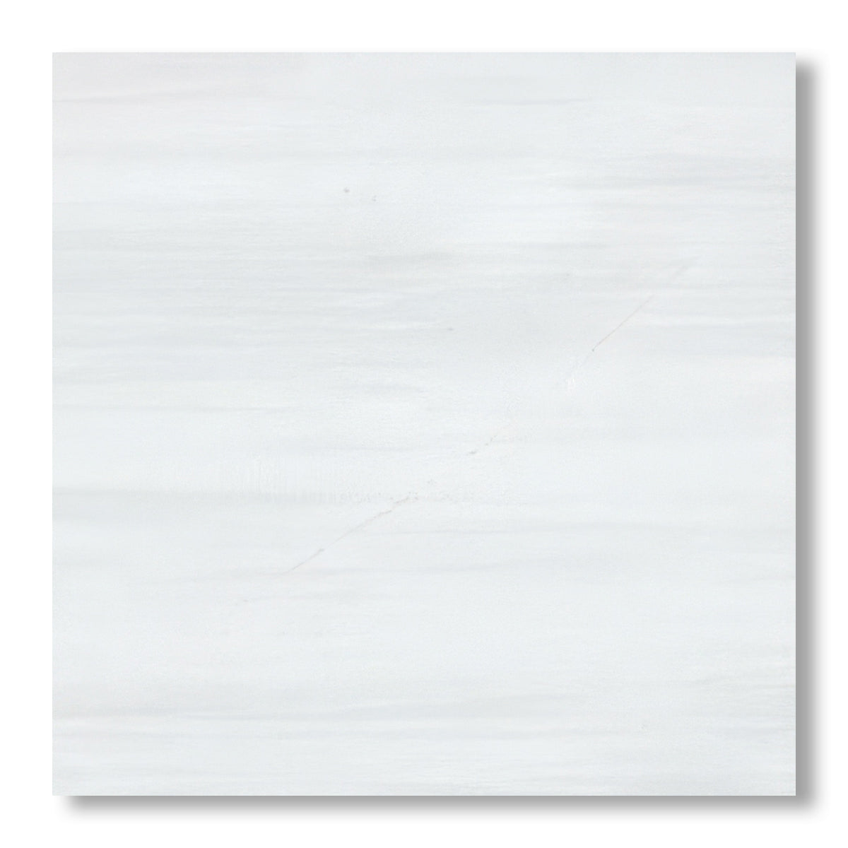 24x24 Bianco Dolomite Polished Tile - American Tile Depot