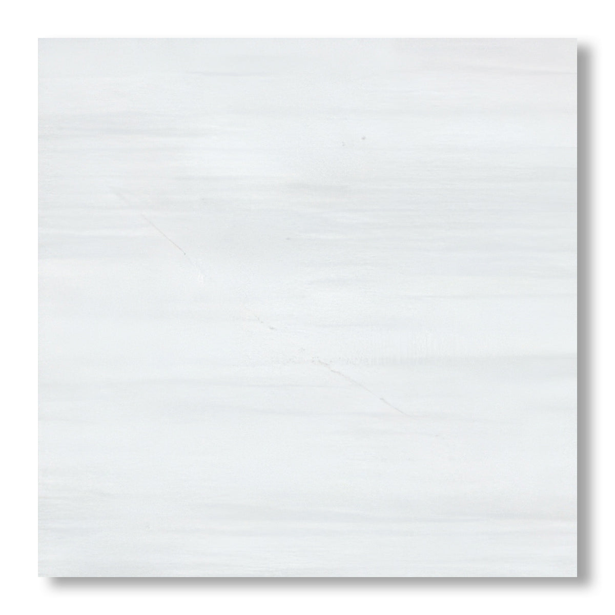 24x24 Bianco Dolomite Polished Tile - American Tile Depot