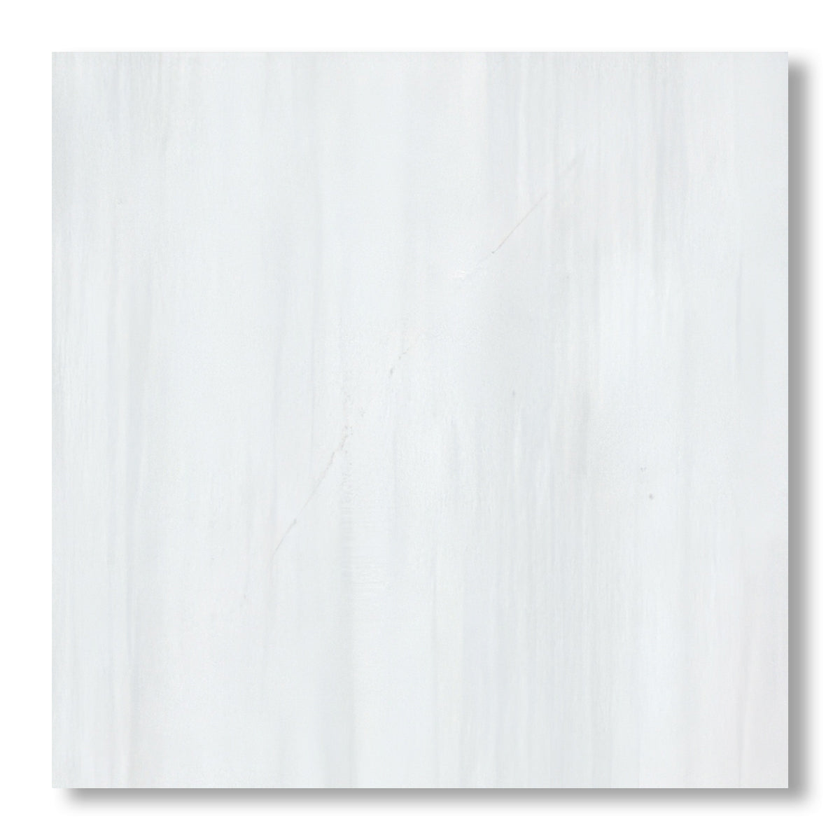 24x24 Bianco Dolomite Polished Tile - American Tile Depot