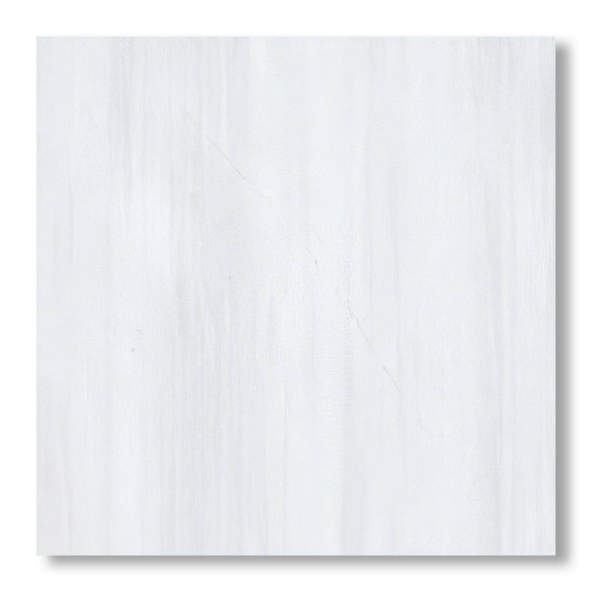 24x24 Bianco Dolomite Polished Tile - American Tile Depot