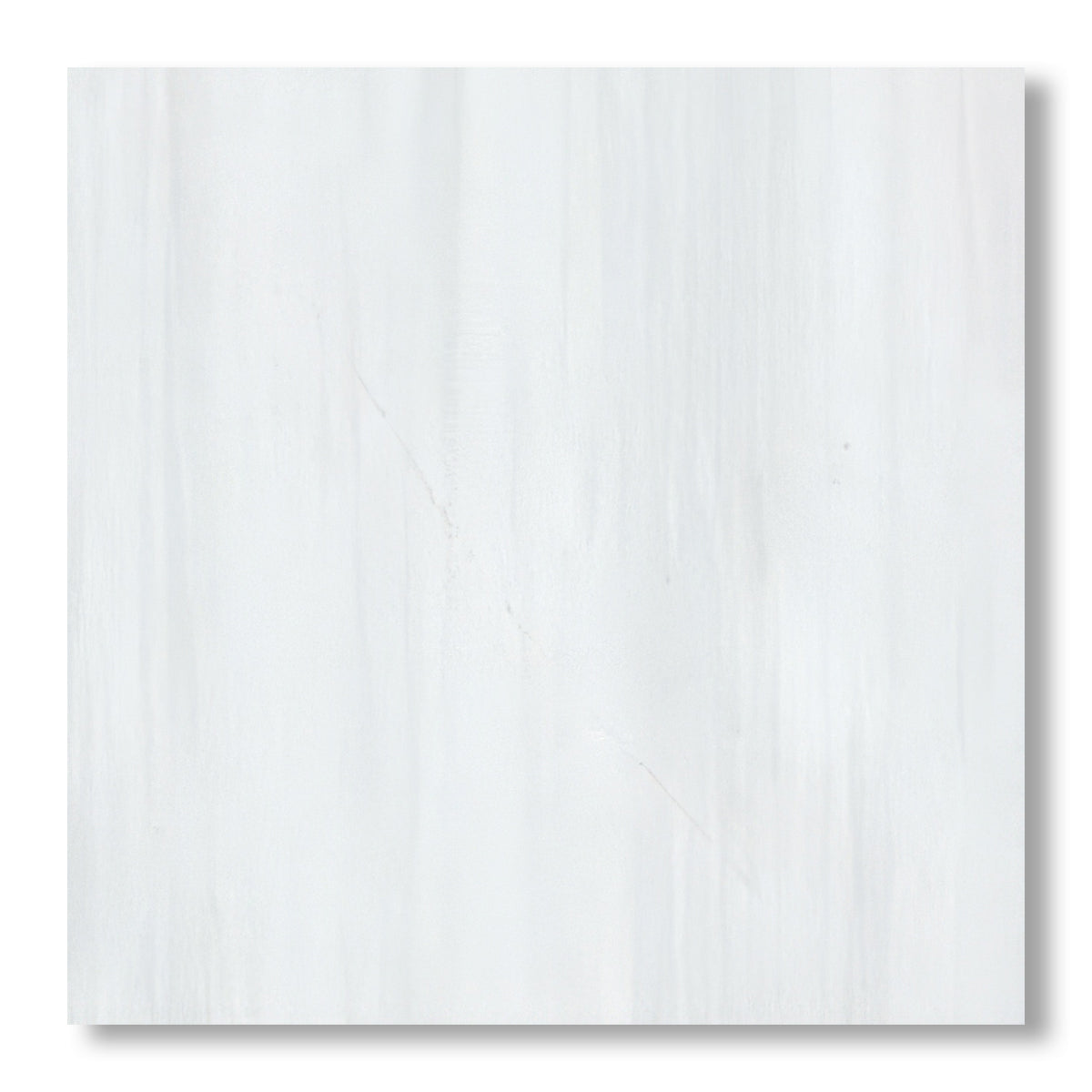 24x24 Bianco Dolomite Polished Tile - American Tile Depot