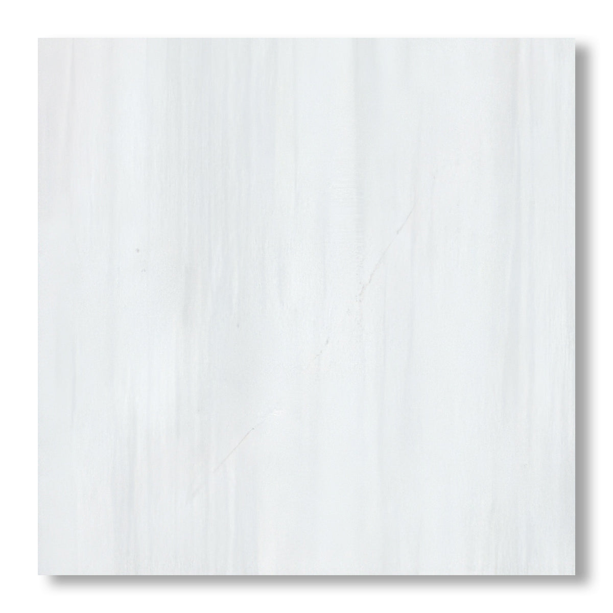 24x24 Bianco Dolomite Polished Tile