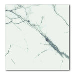 24x24 Bravira Carrara Marble Look Polished Porcelain Tile 24x24 Bravira Carrara Marble Look Polished Porcelain Tile - American Tile Depot