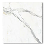 24x24 Calacatta Fynora Polished Marble Laminated Porcelain Tile 24x24 Calacatta Fynora Polished Marble Laminated Porcelain Tile - American Tile Depot
