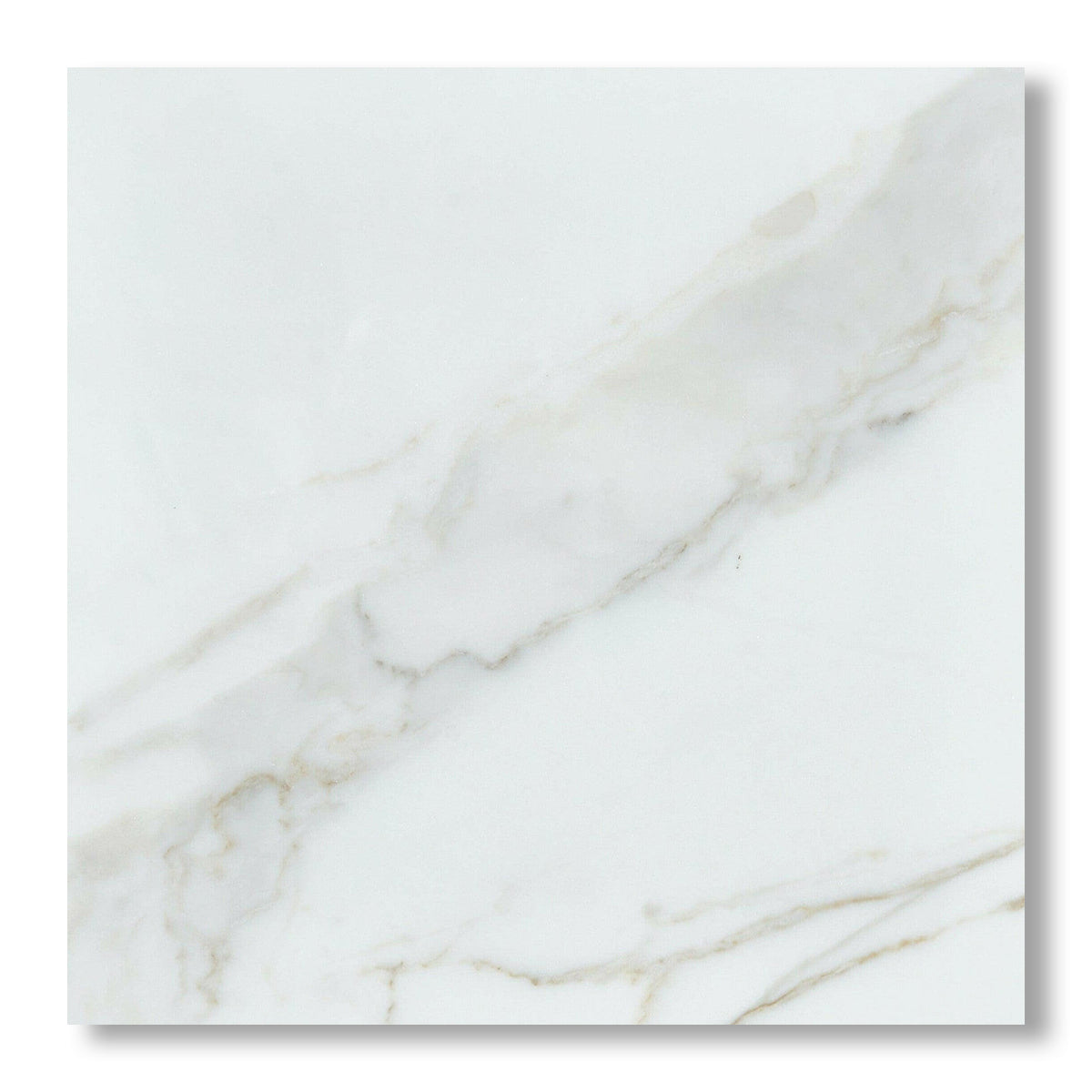 24x24 Calacatta Gold Marble Honed Tile